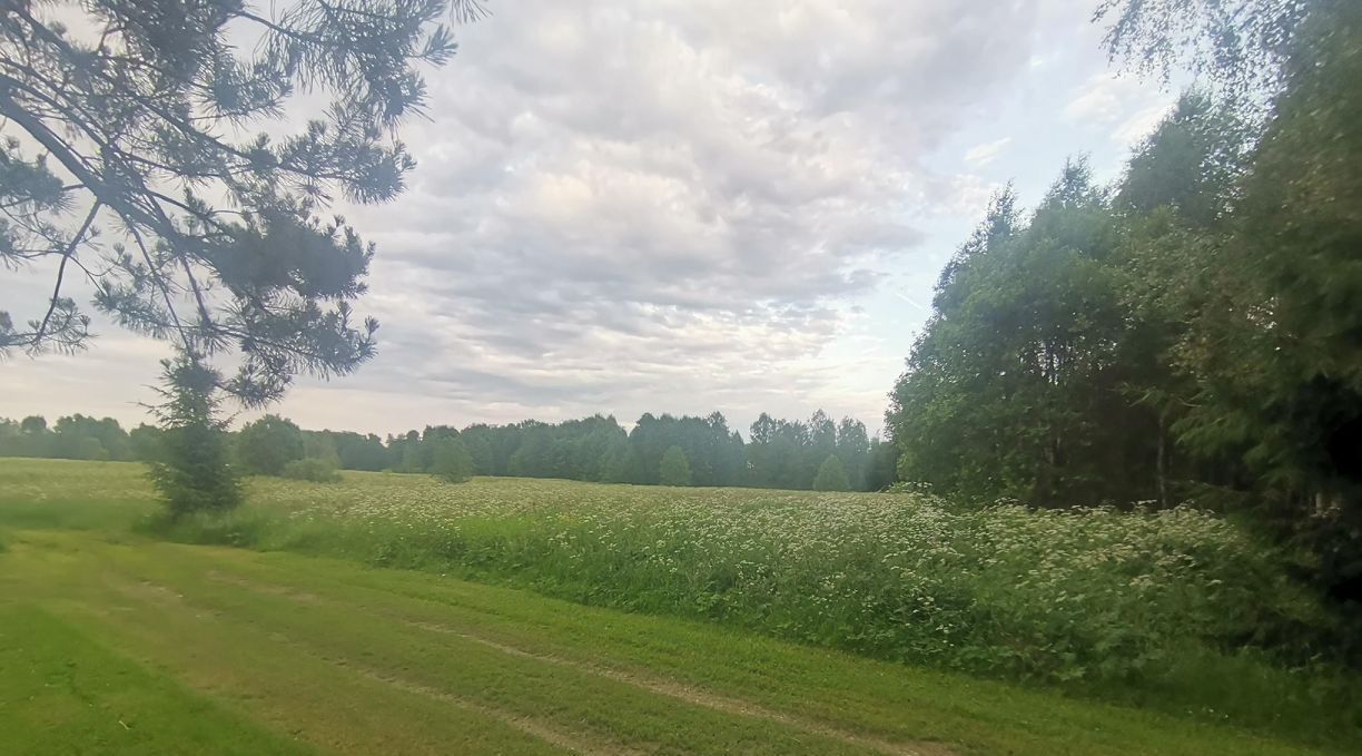 офис городской округ Ступино д Сумароково фото 1