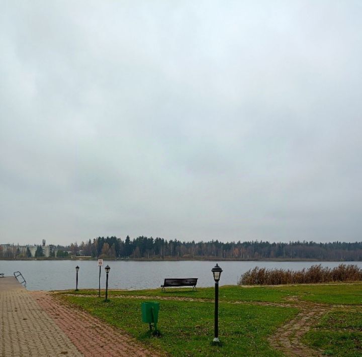 дом городской округ Дмитровский д Рыбаки Заповедное Озеро кп, Лобня, ул. 1-я Заповедная, 32 фото 42