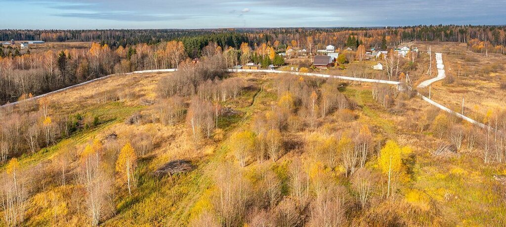 земля городской округ Дмитровский коттеджный посёлок Акация фото 8