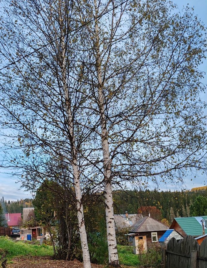 дом р-н Емельяновский снт Лесник сельсовет, Памяти 13 Борцов, Зеледеевский фото 20