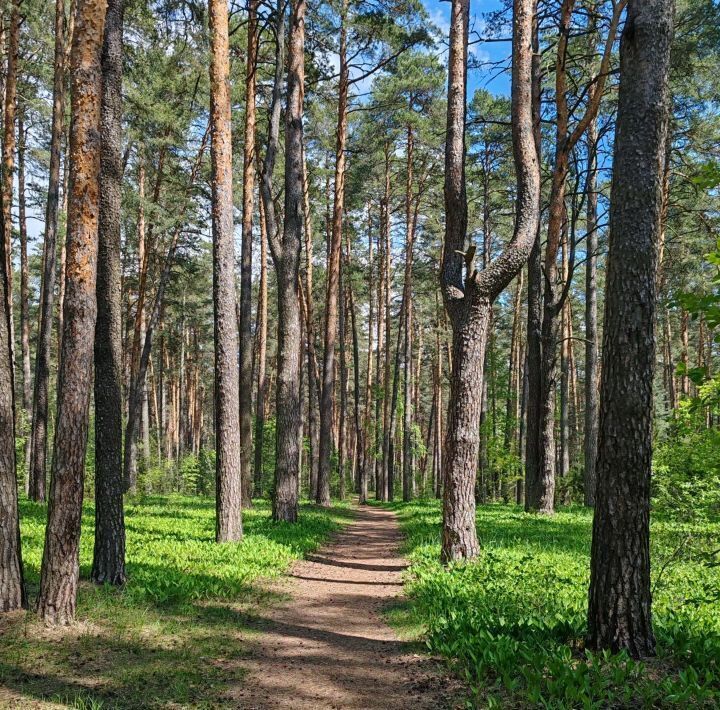 квартира г Рязань р-н Советский Солотча 8к 38 фото 39