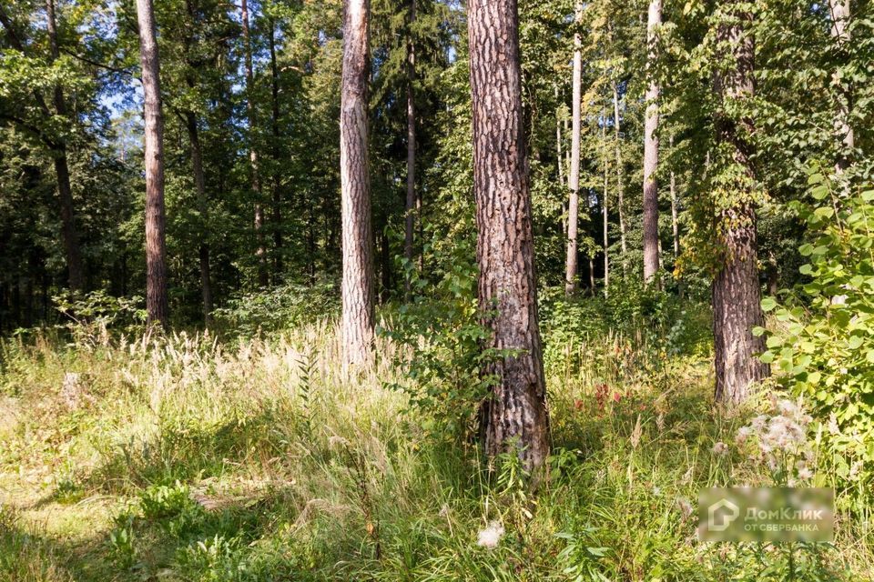 земля городской округ Одинцовский п Николина Гора коттеджный посёлок Никологорское фото 2