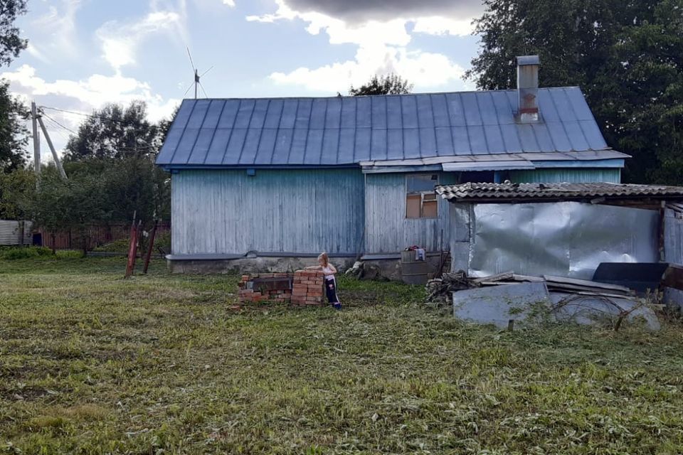 дом городской округ Домодедово д Ильинское 32 фото 4