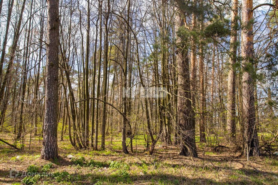 земля городской округ Красногорск д Александровка ул Центральная 7 фото 1