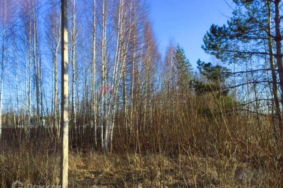 земля городской округ Дмитровский садовое товарищество Союз-Чернобыль-Сестрореченское фото 1