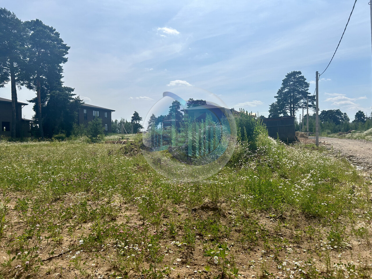 земля городской округ Ленинский д Суханово фото 10