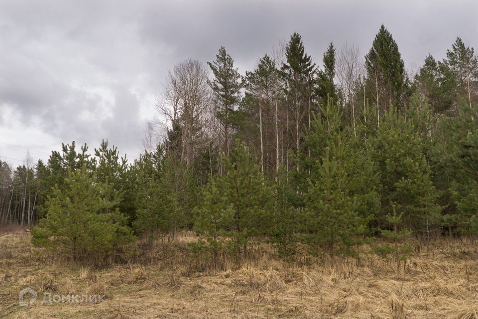 земля городской округ Одинцовский Усово фото 1