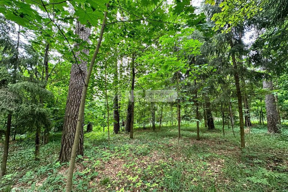 земля городской округ Одинцовский г Звенигород территория Санаторий Поречье фото 2