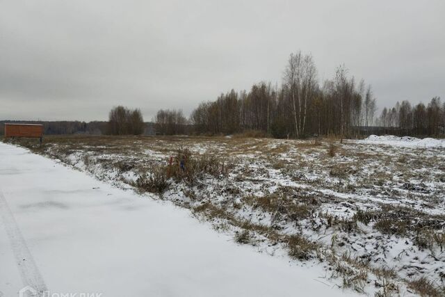 территория КСА, ст 1, Домодедово городской округ фото