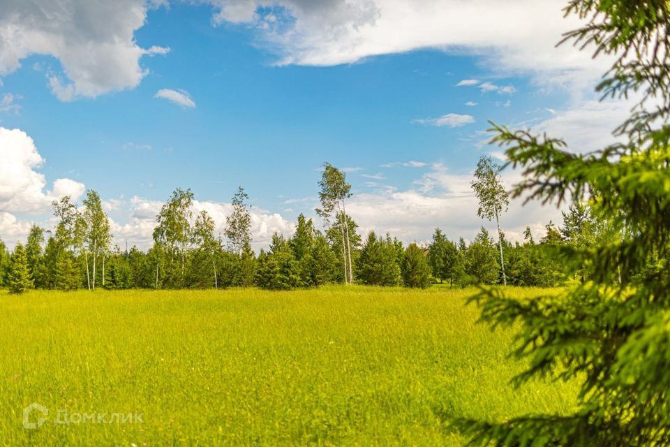 земля городской округ Истра Агаларов Эстейт фото 2