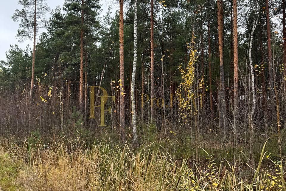 земля р-н Всеволожский СНП Северная жемчужина фото 1