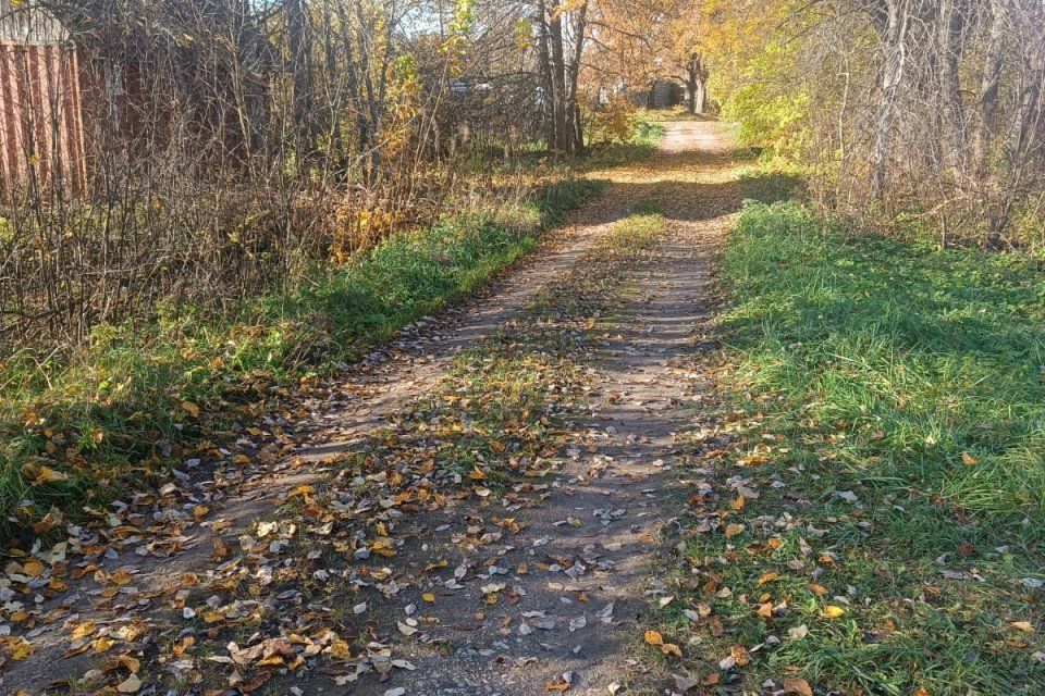 земля р-н Лужский Поддубье Оредежское сп фото 3