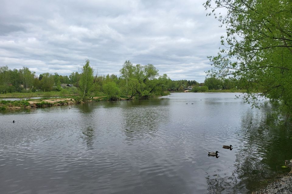 земля г Королев ул Спартаковская 3а городской округ Королёв фото 6