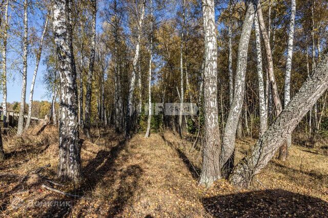 п Краснопахорское с Былово Троицкий административный округ, Шелестово фото