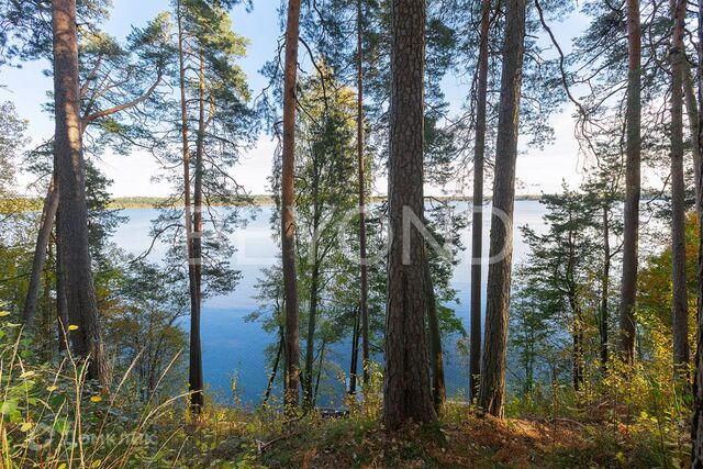 Северо-Западный федеральный округ фото