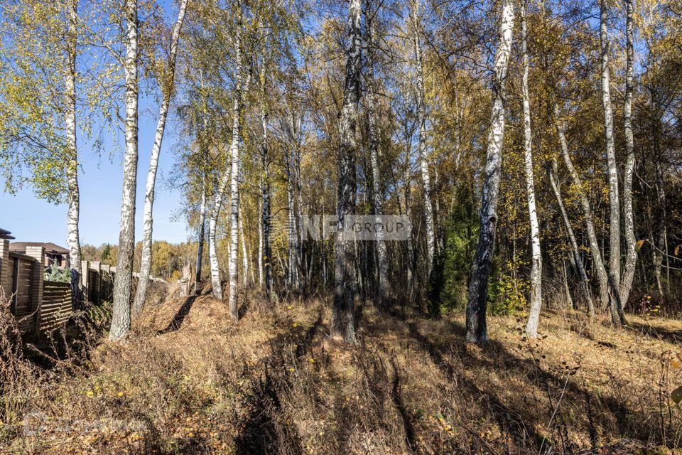 земля г Москва п Краснопахорское с Былово Троицкий административный округ, Шелестово фото 2