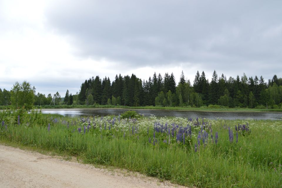 земля городской округ Можайский фото 2