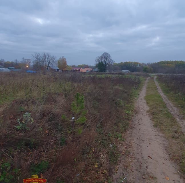 земля городской округ Озерский с Сосновка ул Советская 2 Коломна городской округ фото 3