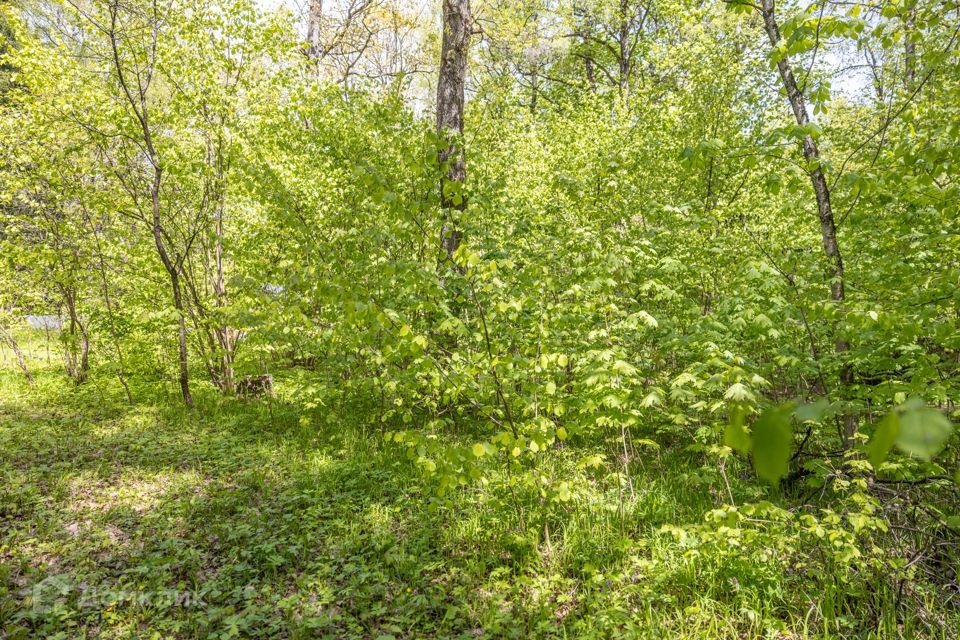 земля городской округ Одинцовский д Новодарьино РАН, 72 фото 7