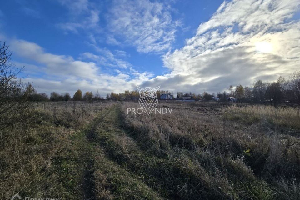 земля городской округ Пушкинский Митрополье фото 7