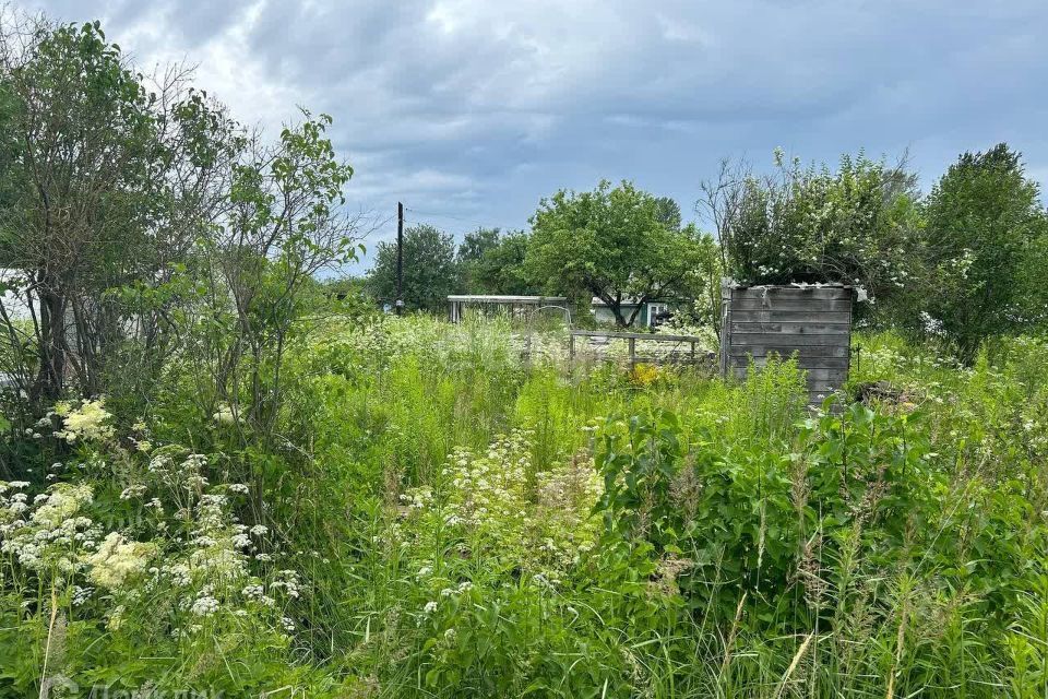 земля р-н Волховский г Волхов Волховское городское поселение, СНТ Родина фото 5