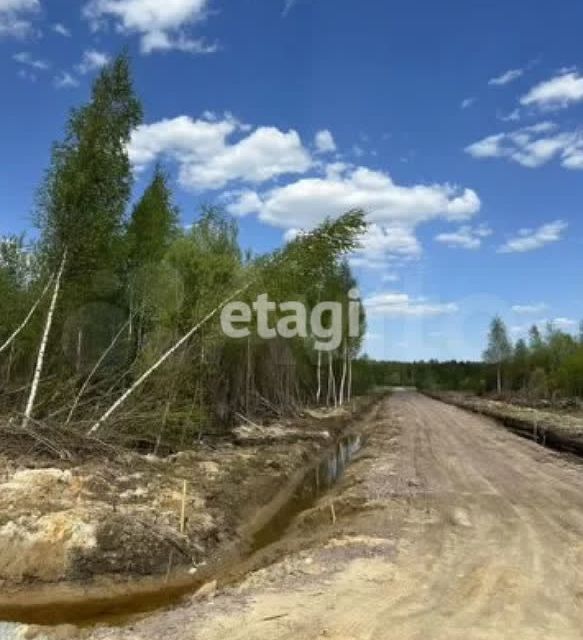 земля р-н Всеволожский фото 6