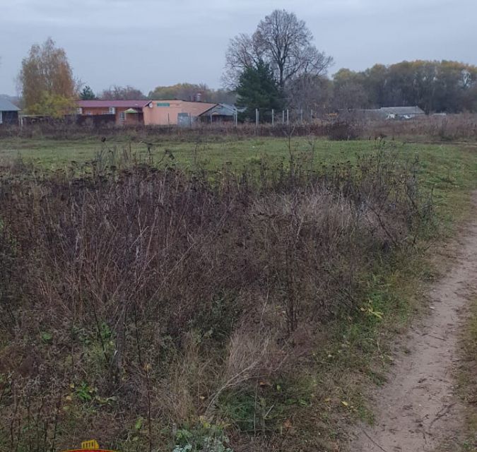 земля городской округ Озерский с Сосновка ул Советская 2 Коломна городской округ фото 6