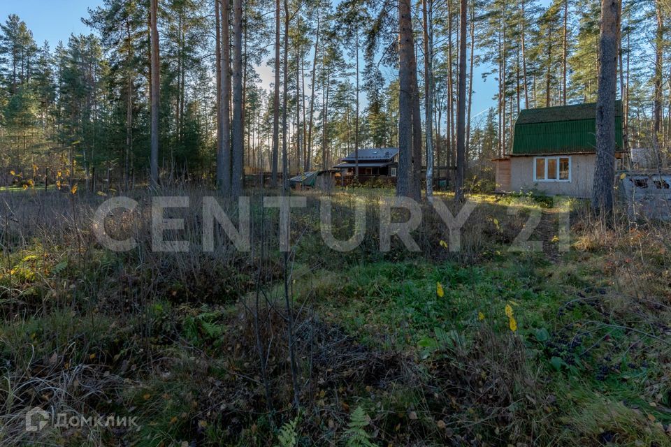 земля р-н Гатчинский п Вырица ул Владимирская 35 Вырицкое городское поселение фото 6