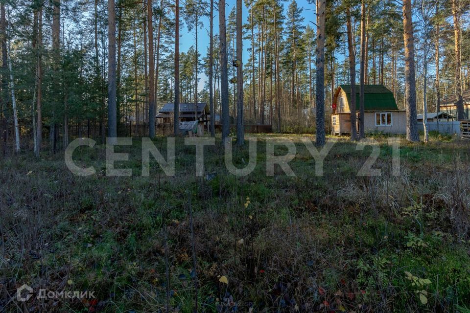 земля р-н Гатчинский п Вырица ул Владимирская 35 Вырицкое городское поселение фото 8