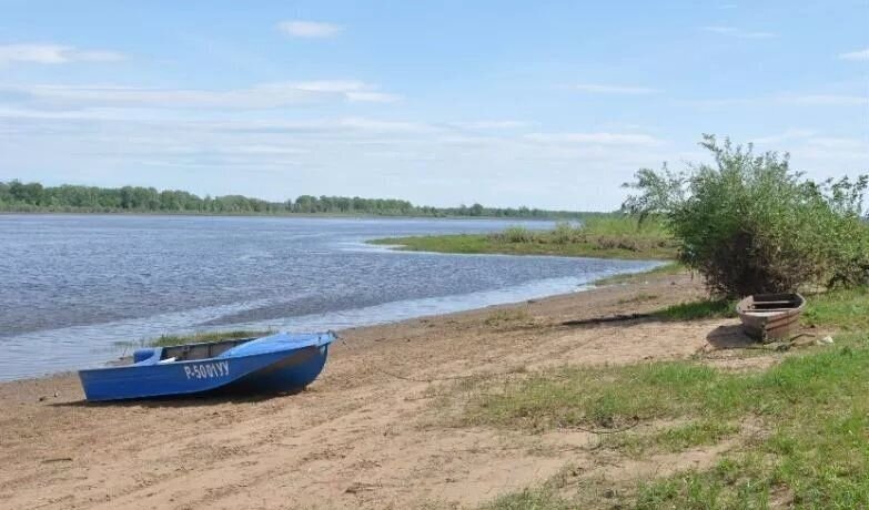 земля р-н Сарапульский с Нечкино Сарапул фото 25