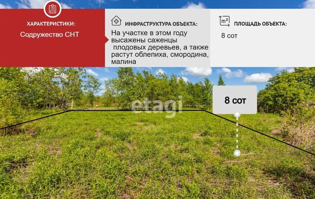 р-н Железнодорожный снт Содружество фото