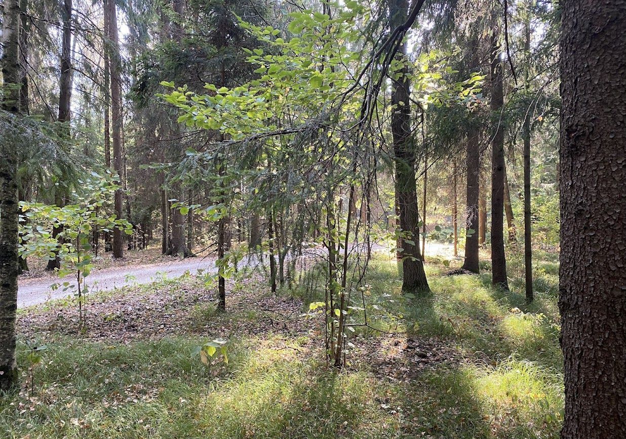 земля городской округ Наро-Фоминский д Мякишево 56 км, Кубинка, Минское шоссе фото 12