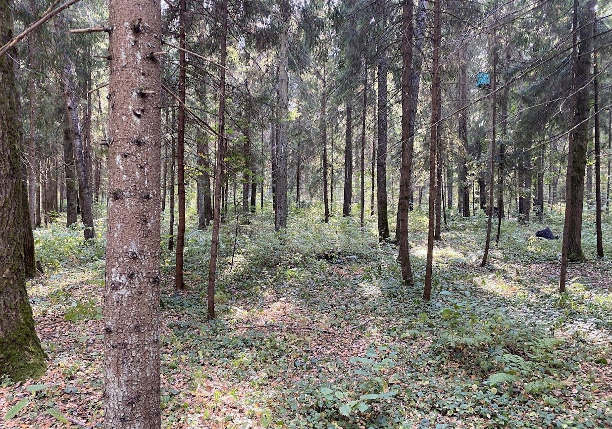 земля городской округ Наро-Фоминский д Мякишево 56 км, Кубинка, Минское шоссе фото 14