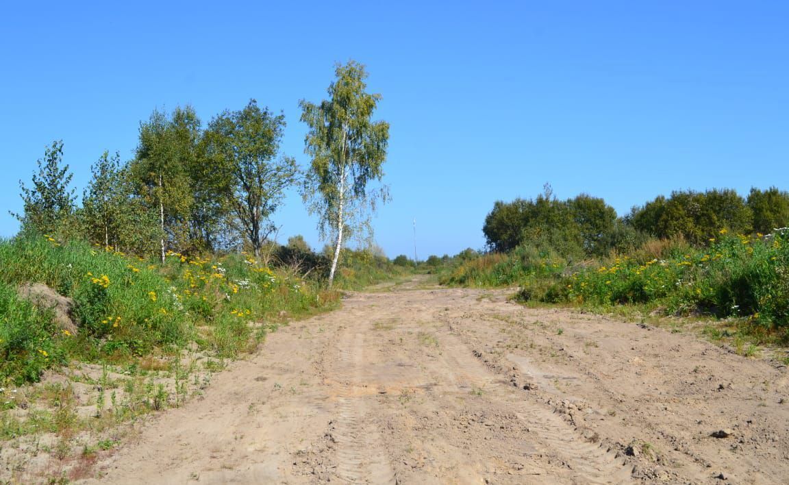 земля городской округ Раменский с Речицы 41 км, Егорьевское шоссе фото 9