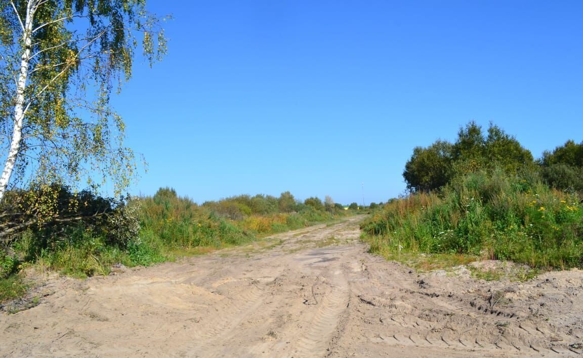 земля городской округ Раменский с Речицы 41 км, Егорьевское шоссе фото 8