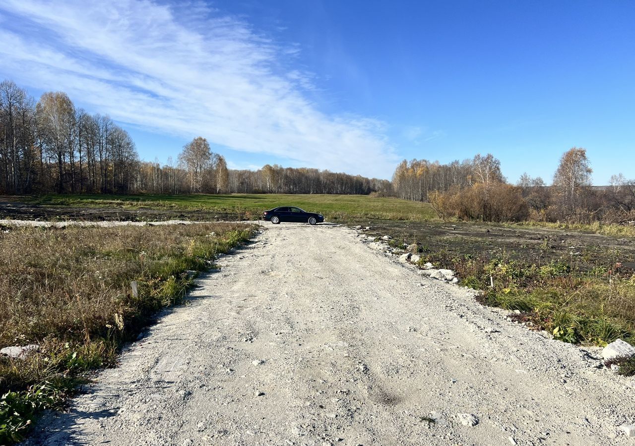 земля р-н Тюменский д Насекина ул Центральная Тюмень фото 8