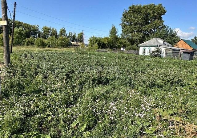 ул Линейная городское поселение Коченёво фото