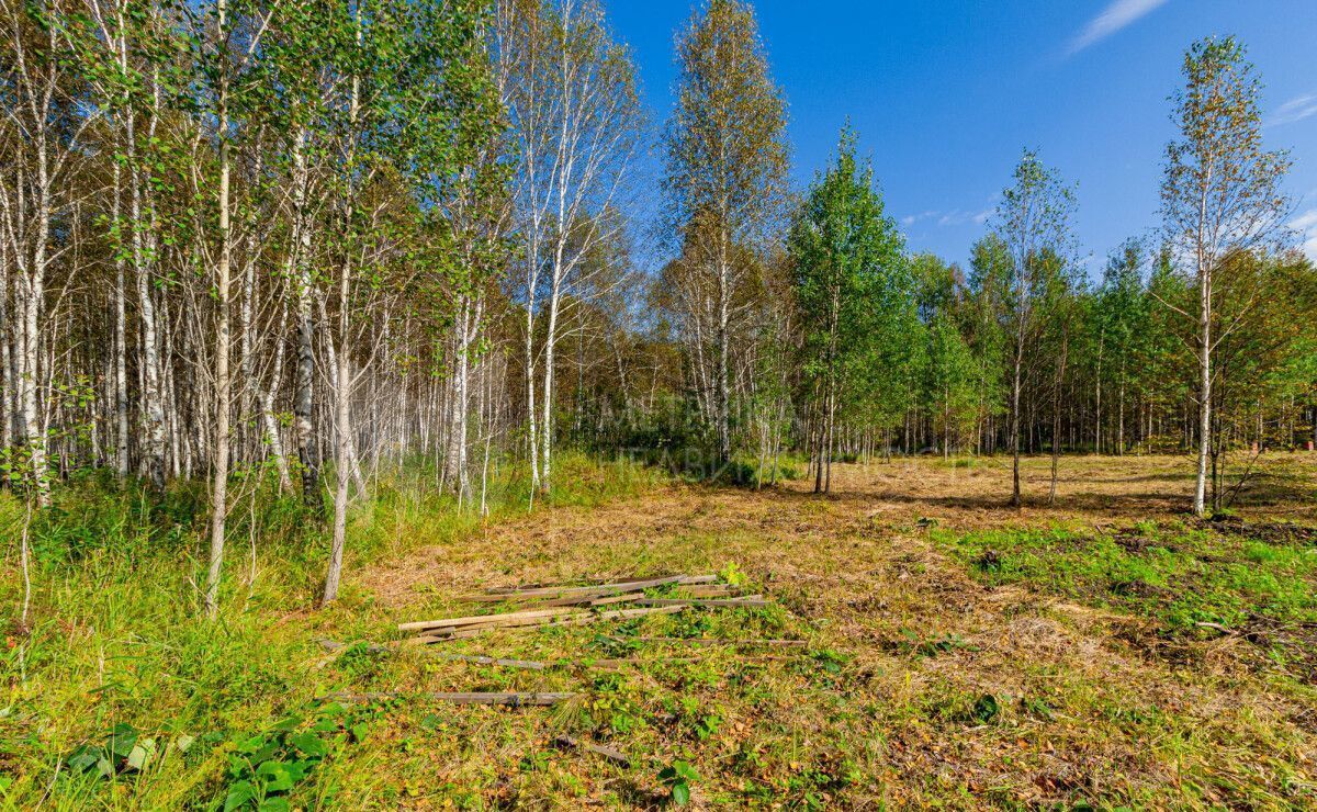 земля р-н Нижнетавдинский Тюневское сельское поселение, Тюмень фото 3