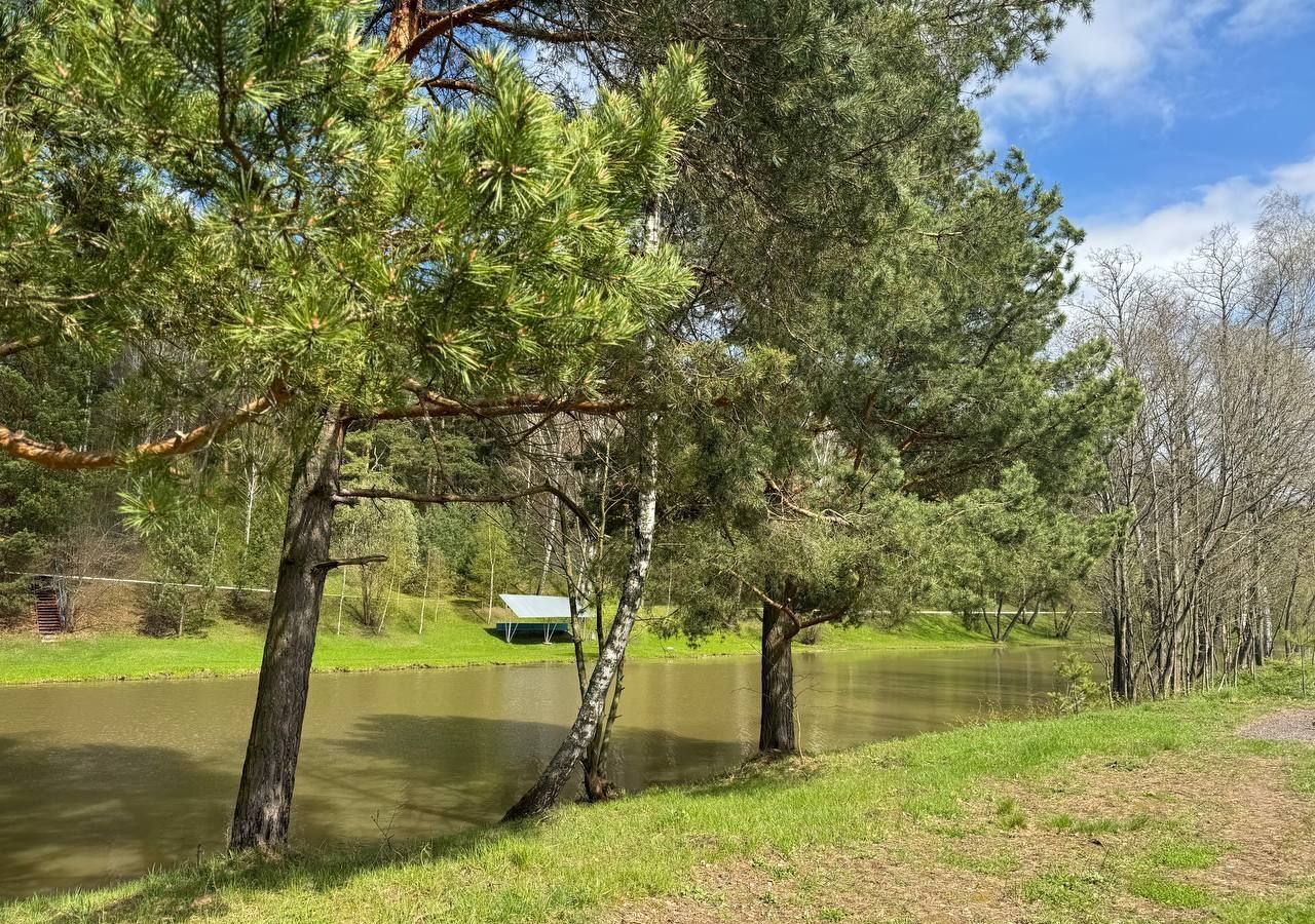 земля городской округ Можайский д Судаково 24 км, г. о. Домодедово, Новокаширское шоссе фото 8