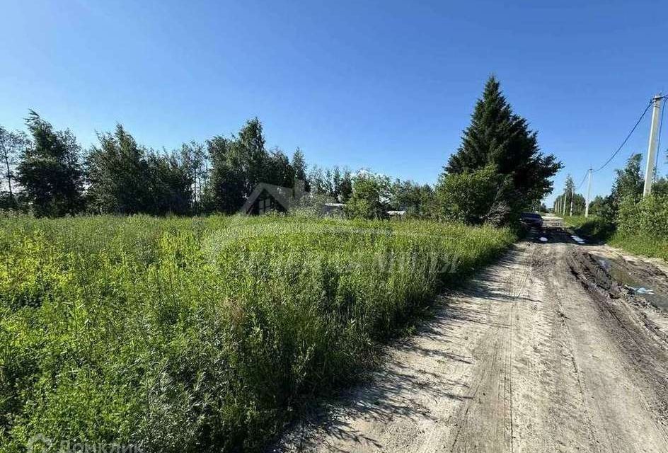 земля городской округ Тюмень, СТ Поле чудес-2 фото 4