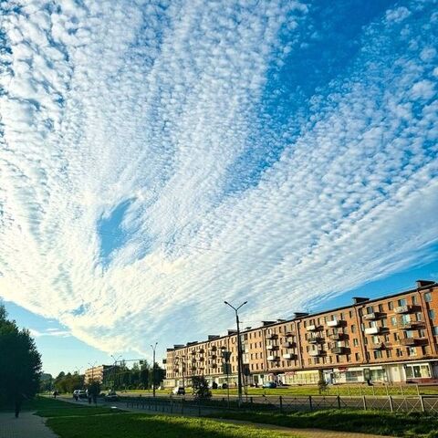 ул Чкалова 6 Сланцевское городское поселение фото