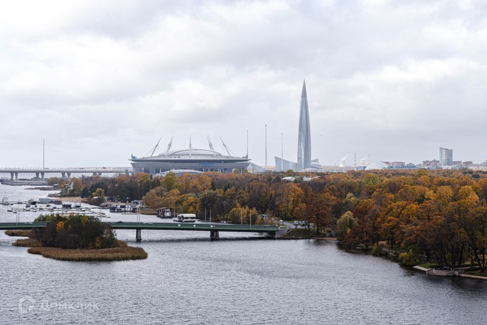 квартира г Санкт-Петербург ул Ждановская 45 Петроградский фото 2