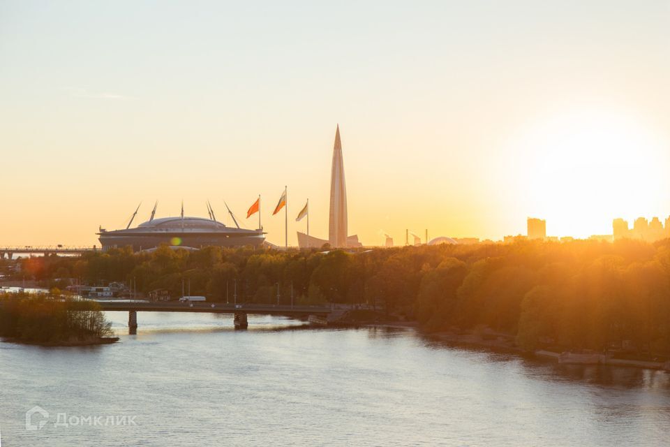 квартира г Санкт-Петербург ул Ждановская 45 Петроградский фото 7