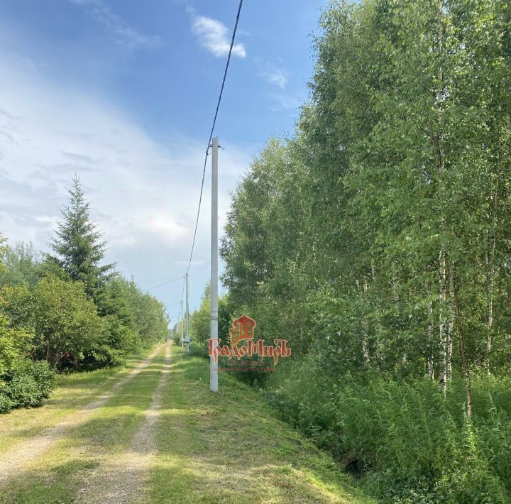 земля городской округ Талдомский Алтуфьево, Весна СНТ фото 5