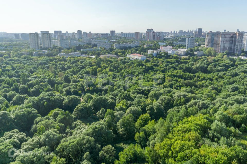 квартира г Москва ул Нежинская 5/2 городские резиденции Spires Западный административный округ фото 6