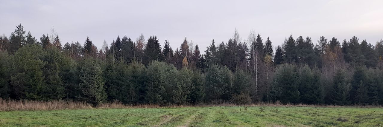 земля городской округ Клин рп Решетниково фото 6