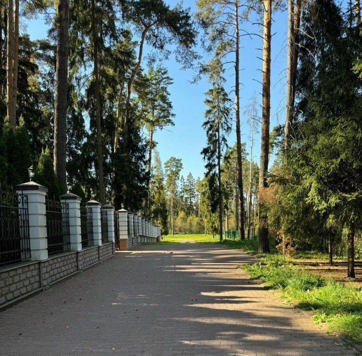 земля городской округ Красногорск д Бузланово Фермерское Хозяйство Солнышко тер., Павшино фото 32