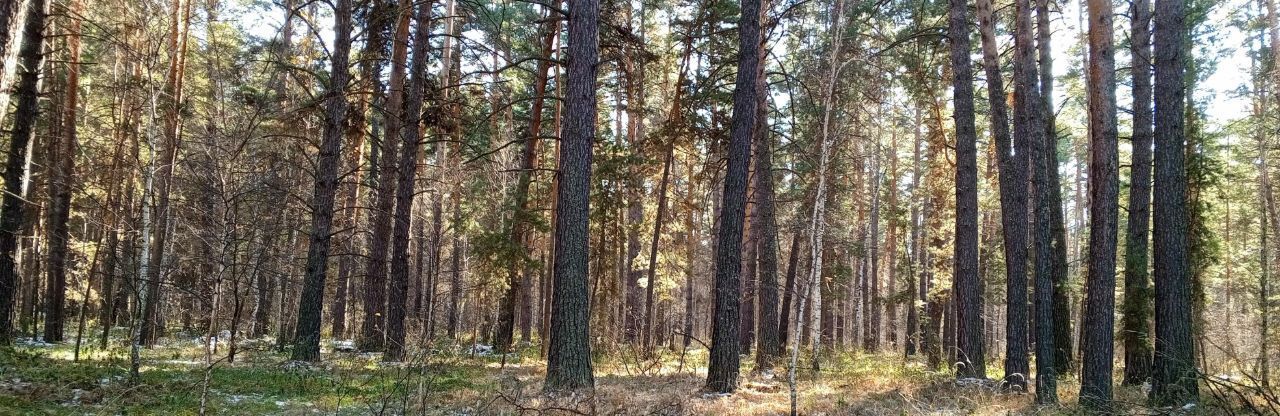 дом р-н Крутихинский с Долганка ул Заречная фото 34