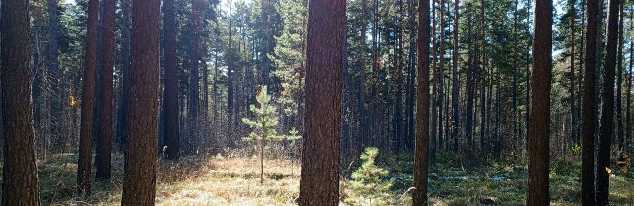 дом р-н Крутихинский с Долганка ул Заречная фото 39