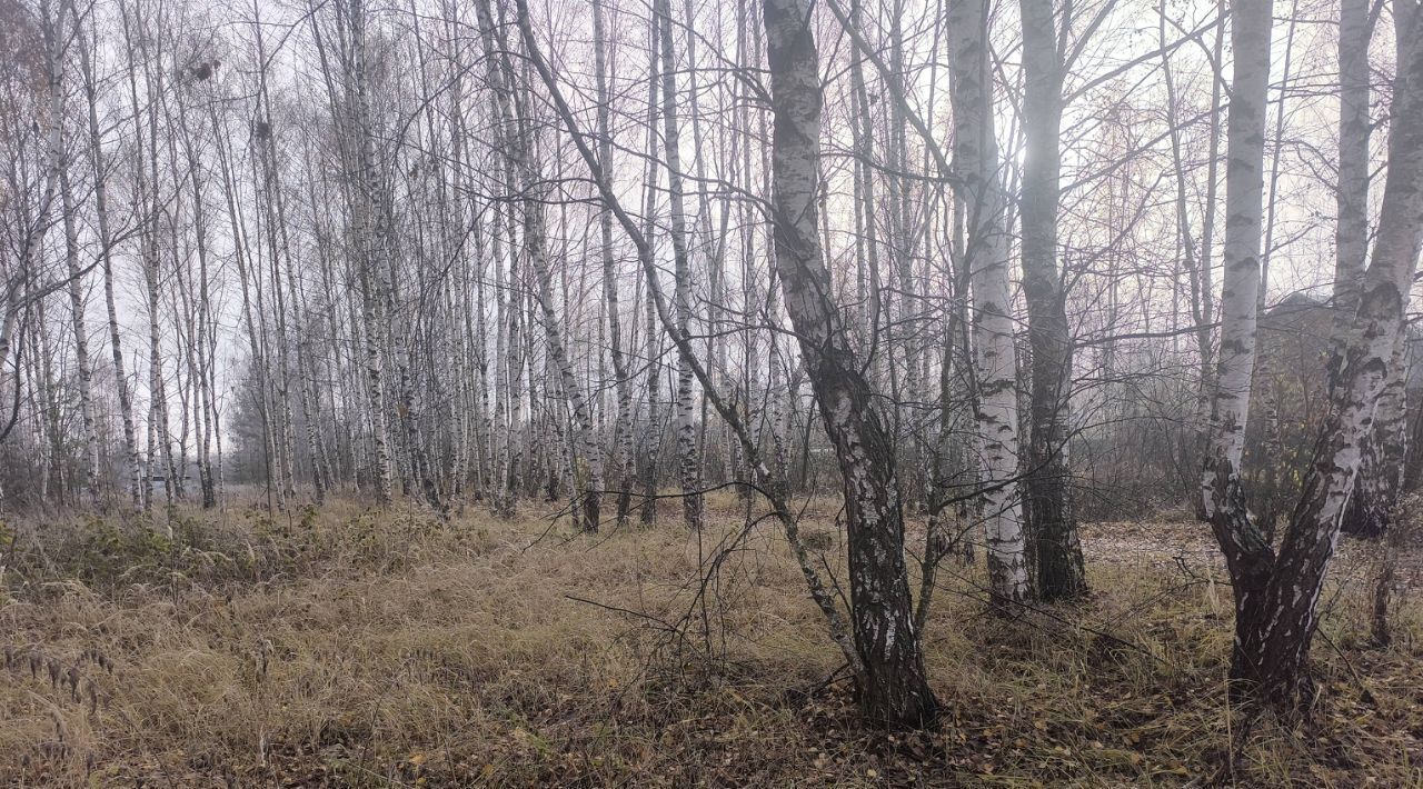 земля городской округ Орехово-Зуевский Три Сестры садовое товарищество фото 3